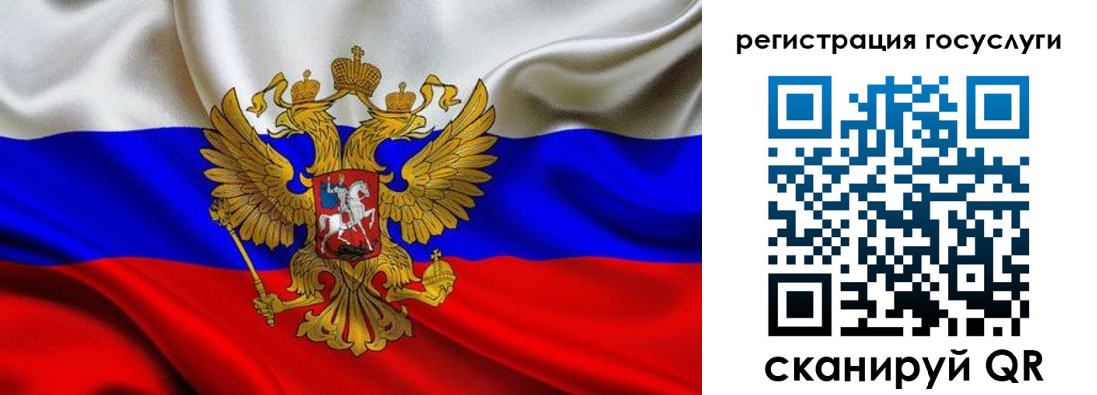 прописка гарантия в Курчатове